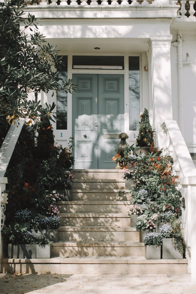 pexels-photo-3639540 Green Plants on White Concrete Staircase